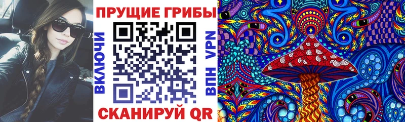 Галлюциногенные грибы прущие грибы  закладки  Михайлов 